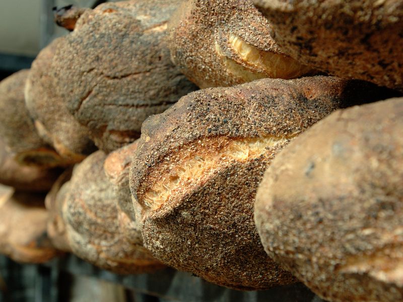 pane casareccio di genzano